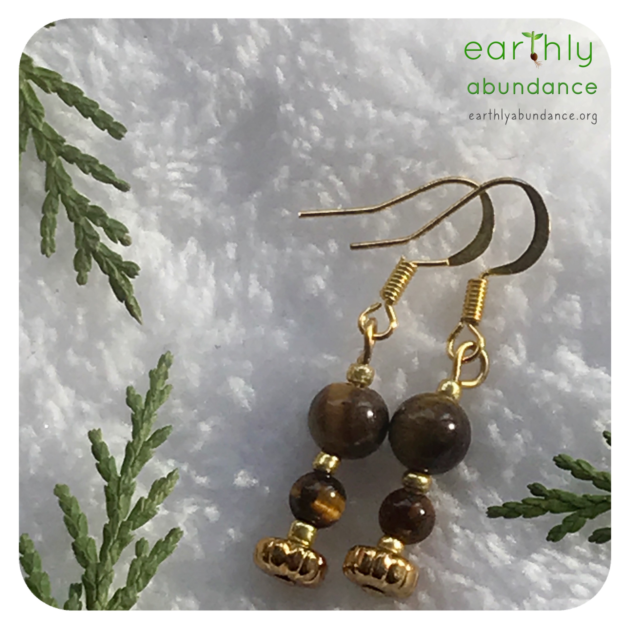 8663 Tiger’s Eye + Brass Earrings