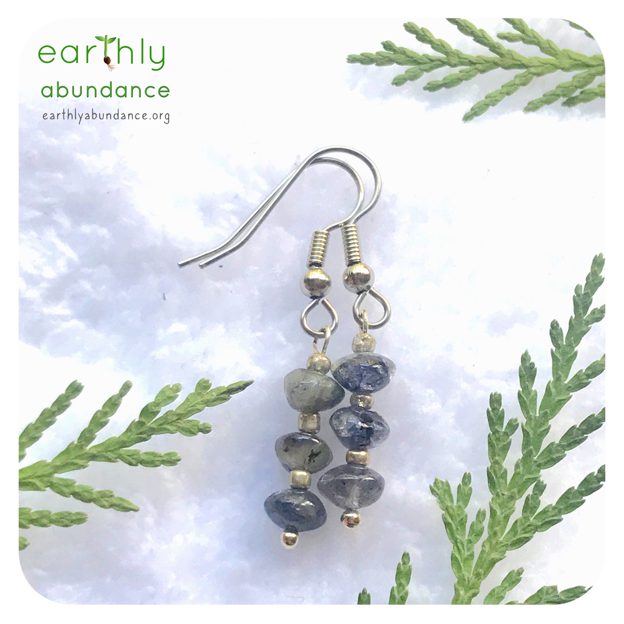 8649 Iolite Innovator Earrings