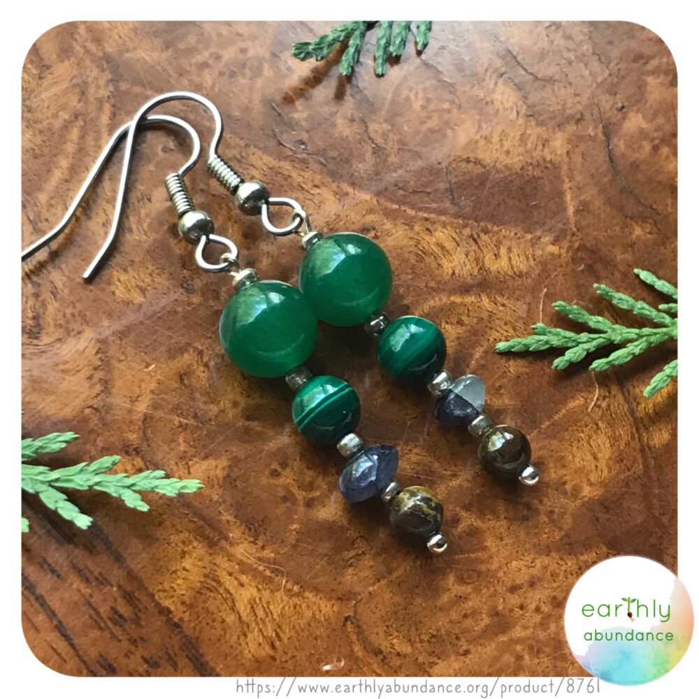 8761 "Healthy Wealth + Abundance" Earrings