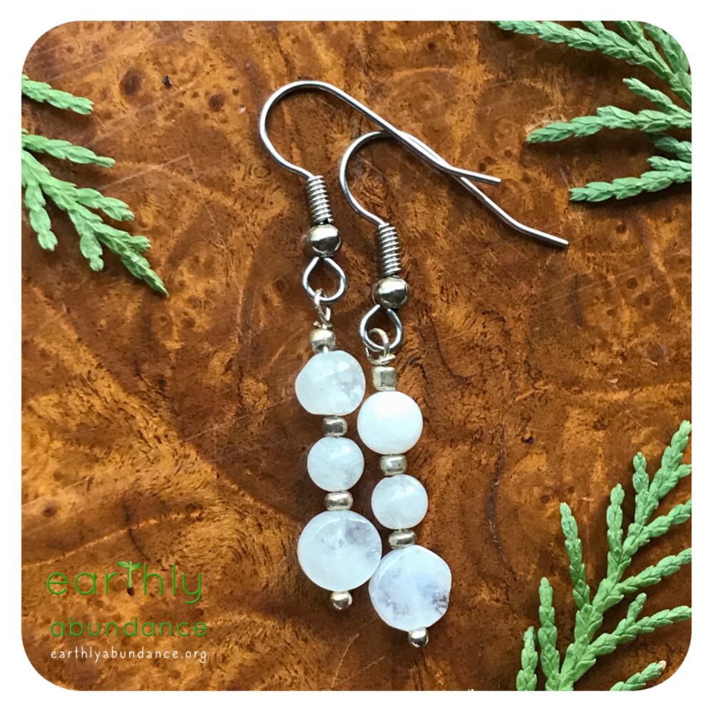 8764 Moonstone + Steel Earrings