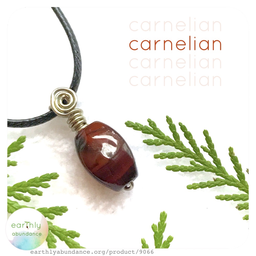 9066 Carnelian + Steel Necklace