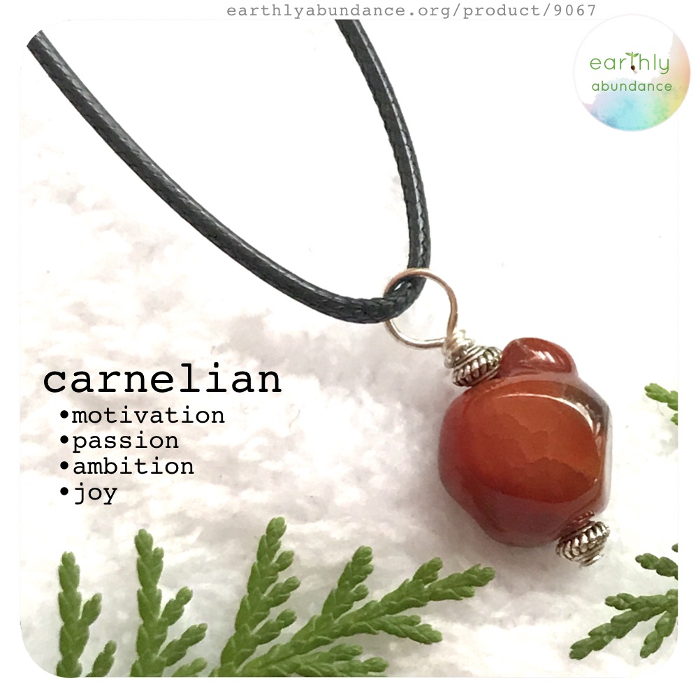 9067 Carnelian + Steel Necklace