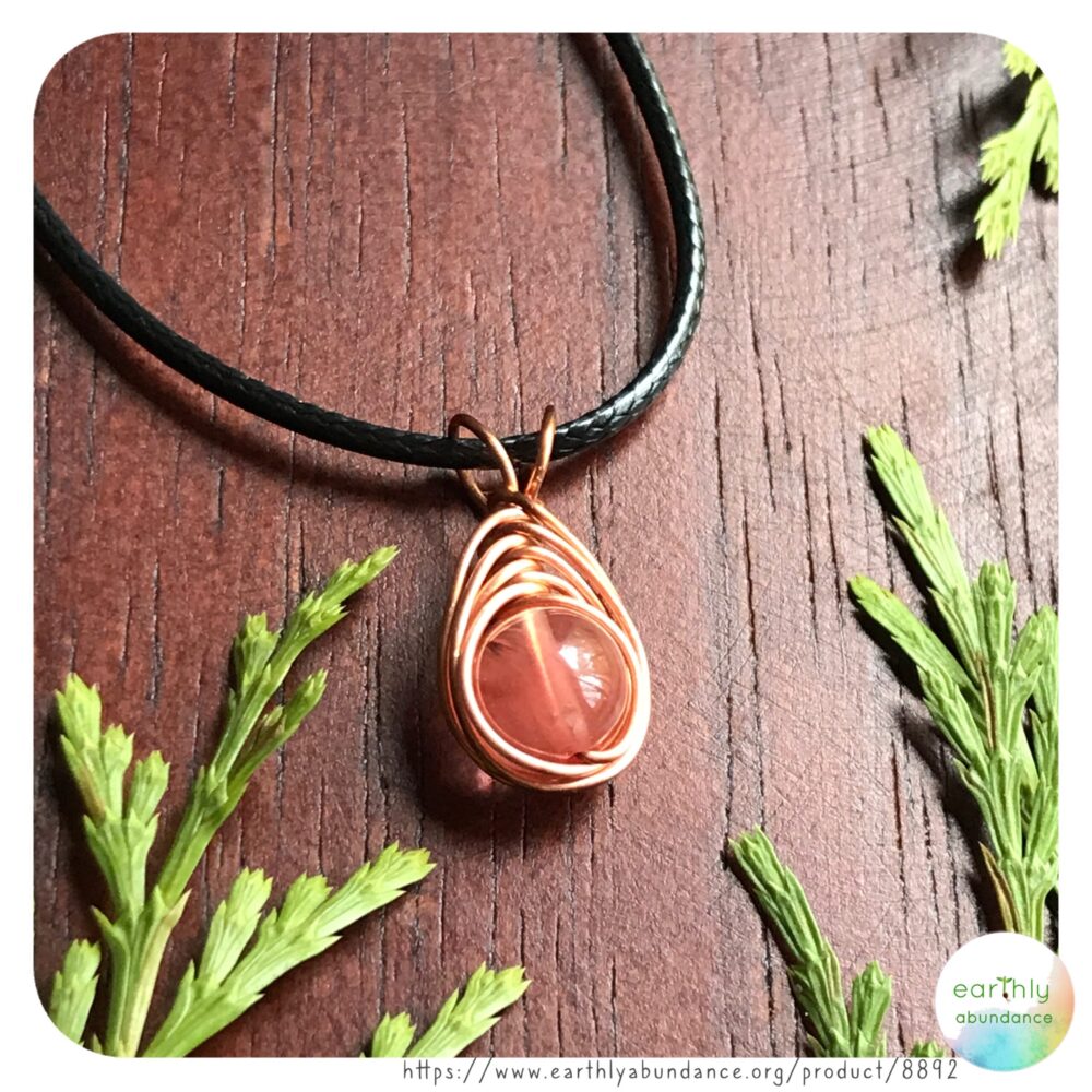 8892 P*ssy Power Necklace